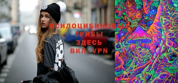 гашик Приозерск