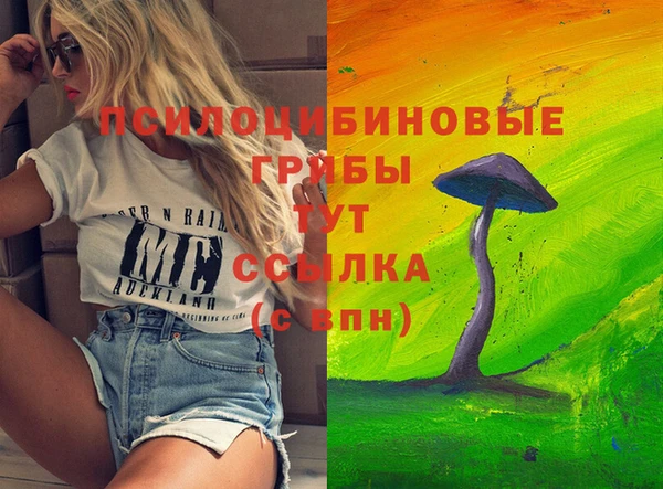 дмт Абдулино