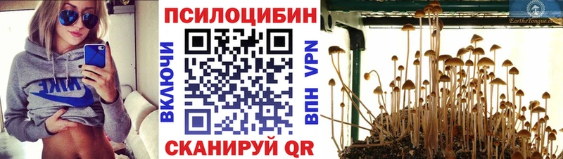 kraken рабочий сайт Дивногорск Галлюциногенные грибы мухоморы