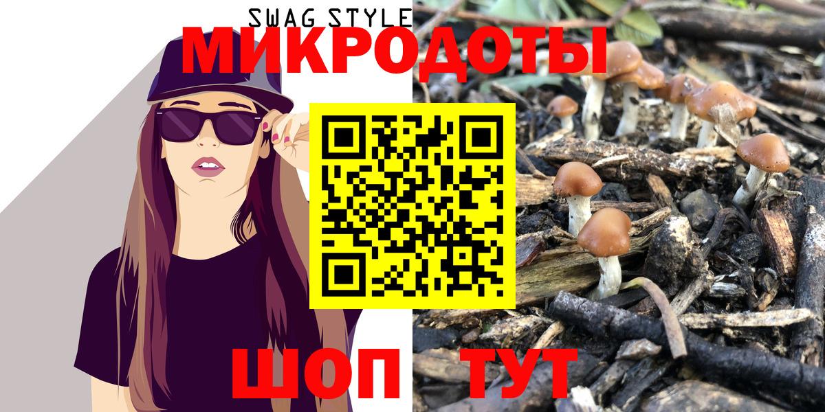 Галлюциногенные грибы Psilocybe  купить наркотики цена  Вход с VPN  Дивногорск  Галлюциногенные грибы прущие грибы 