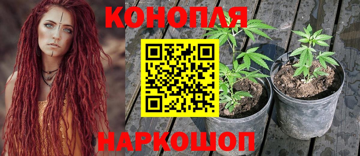 Бошки марихуана Bruce Banner  Бошки марихуана конопля  Дивногорск  Вход с VPN 